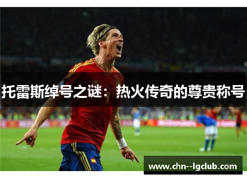 托雷斯绰号之谜：热火传奇的尊贵称号