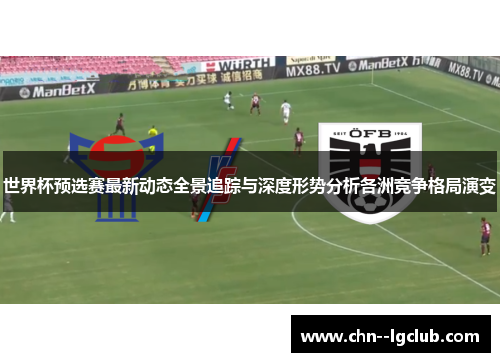 世界杯预选赛最新动态全景追踪与深度形势分析各洲竞争格局演变