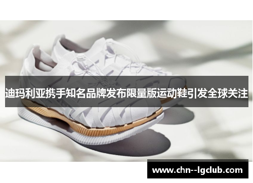 迪玛利亚携手知名品牌发布限量版运动鞋引发全球关注 迪玛利亚携手知名品牌发布限量版运动鞋引发全球关注